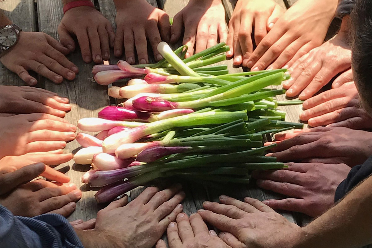 Fraternità e Amicizia – Società Cooperativa Sociale Onlus Fraternità e Amicizia - Società Cooperativa Sociale Onlus